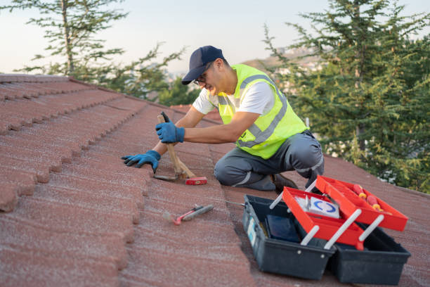 Best Flat Roof Repair Services  in Rockford, MN