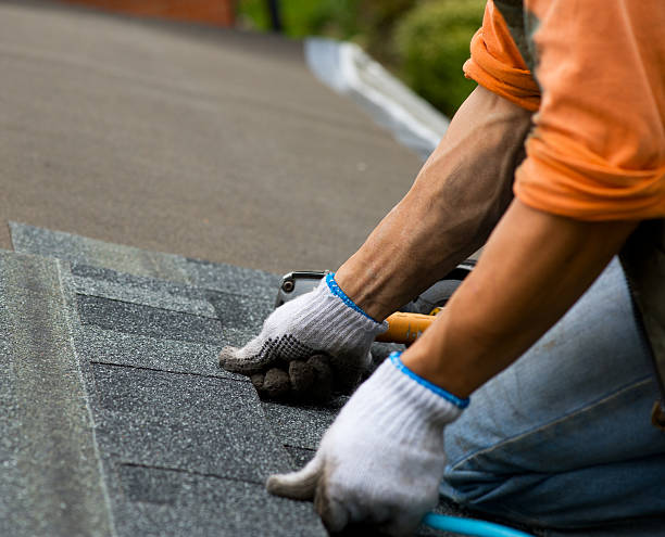 Best Local Roofing Companies  in Rockford, MN
